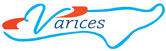 Centro Médico Especializado Várices logo